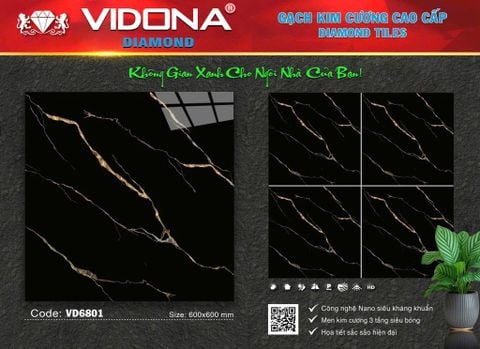 Gạch 60x60 Vidona VD6801