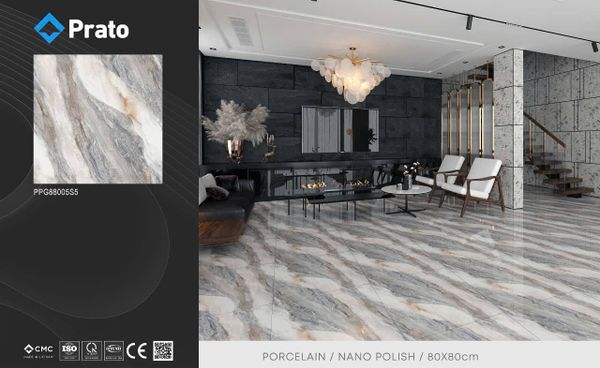 Gạch 80x80 CMC PPG88005S5