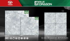 Gạch 80x80 Tasa 2115