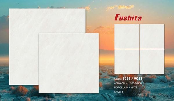 Gạch 80x80 Tasa 9053