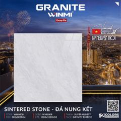 Gạch 100x100 PTG WM1008