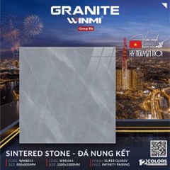 Gạch 100x100 PTG WM1011