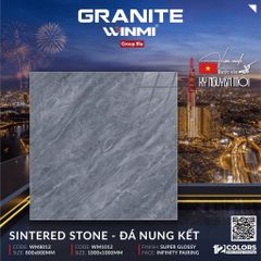 Gạch 100x100 PTG WM1012