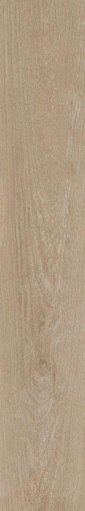 Gạch 20x120 Đồng Tâm 20120BANYAN003-H+