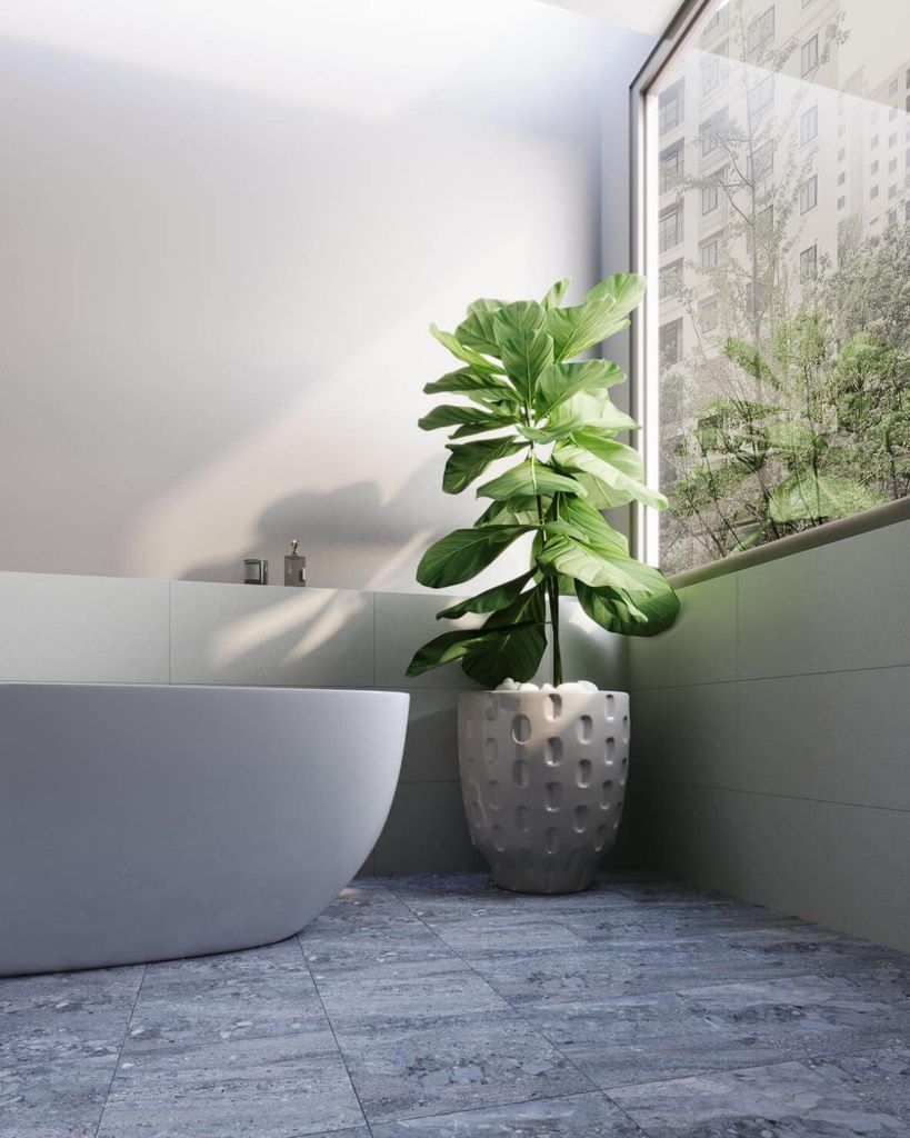 Gạch 30x30 Đồng Tâm 3030GECKO006