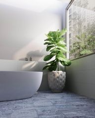 Gạch 30x30 Đồng Tâm 3030GECKO006