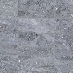 Gạch 30x30 Đồng Tâm 3030GECKO006