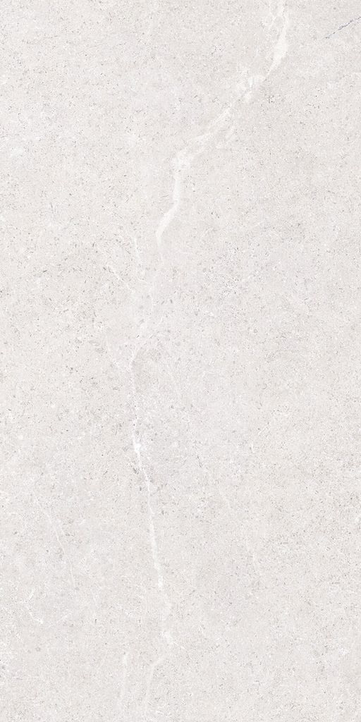 Gạch 30x60 Taicera G63L01JF