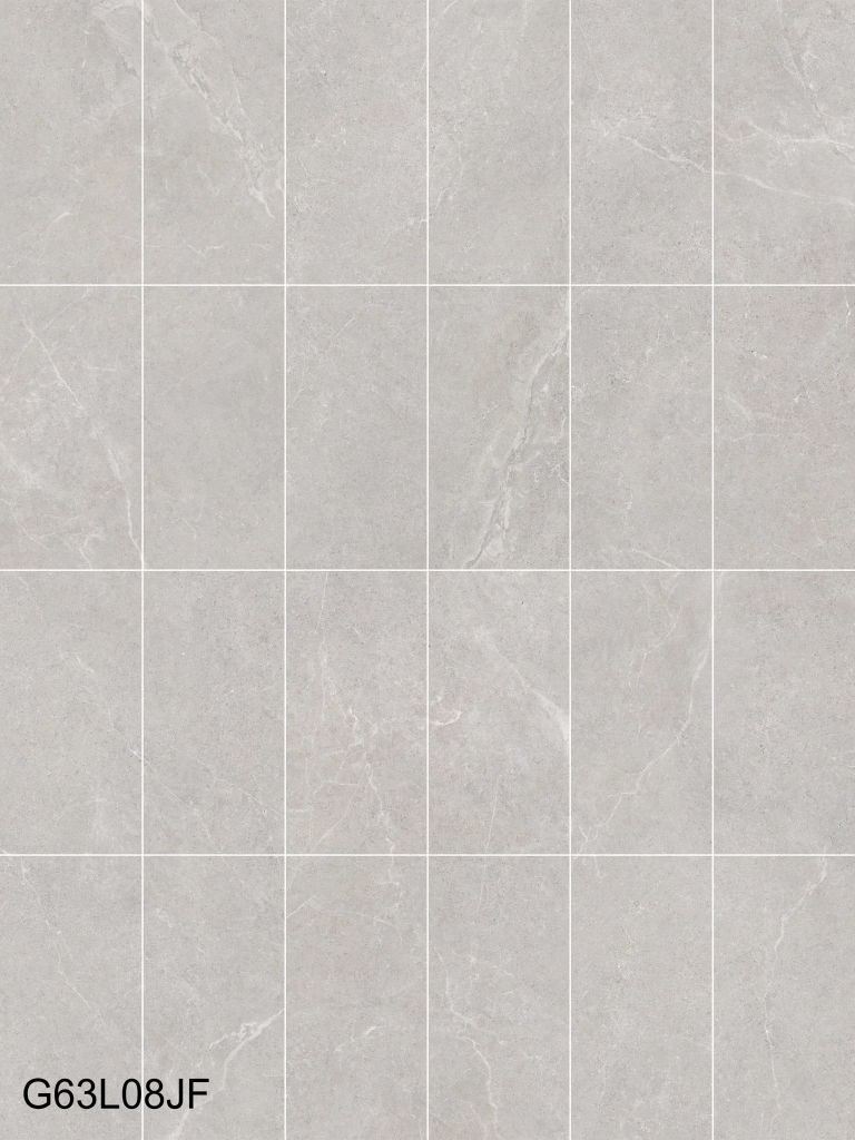 Gạch 30x60 Taicera G63L08JF
