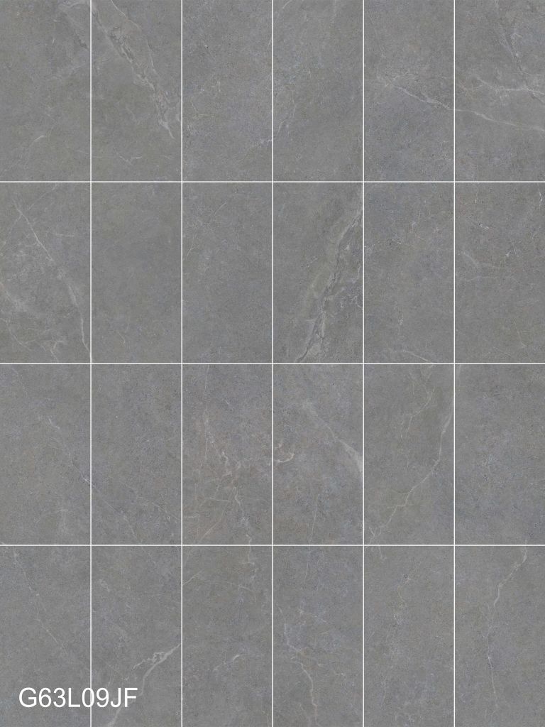 Gạch 30x60 Taicera G63L09JF