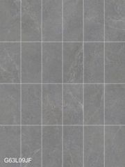 Gạch 30x60 Taicera G63L09JF