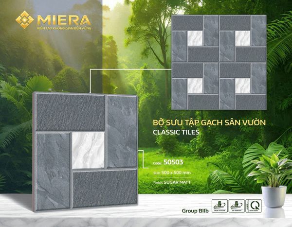 Gạch 50x50 Vitto 50503