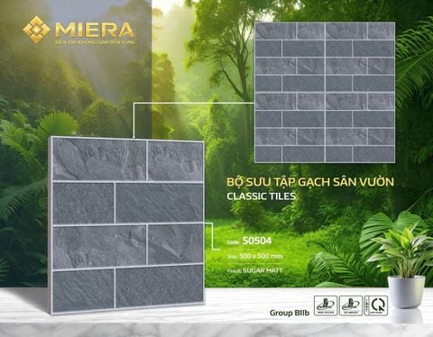 Gạch 50x50 Vitto 50504