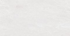 Gạch 40x80 Đồng Tâm 4080FAME001-H+