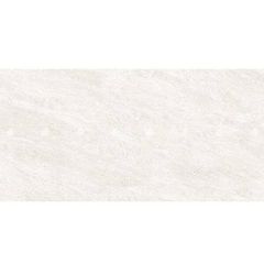 Gạch 40x80 Đồng Tâm 4080GECKO003