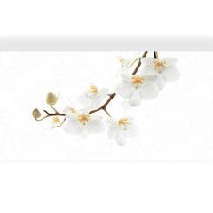Gạch 40x80 Đồng Tâm D4080ORCHID001-H+