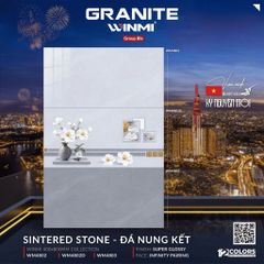 Gạch 40x80 PTG WM4803 WM4802D WM4802 WM4802D1
