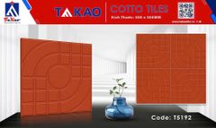 Gạch 50x50 Takao T5192