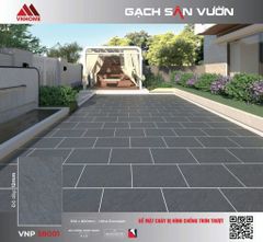 Gạch 50x80 VNHOME VNP58001