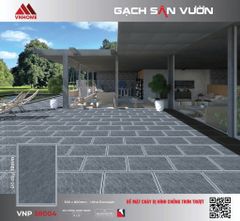 Gạch 50x80 VNHOME VNP58004