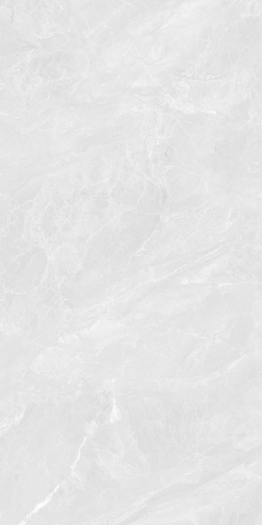 Gạch 60x120 Taicera GP12117J