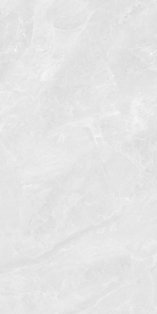Gạch 60x120 Taicera GP12117J