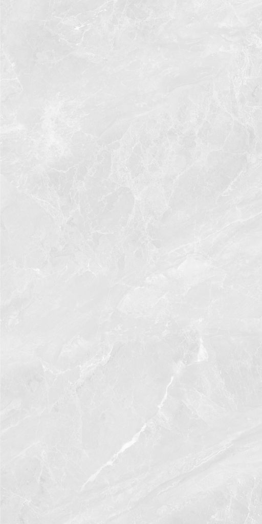 Gạch 60x120 Taicera GP12117J