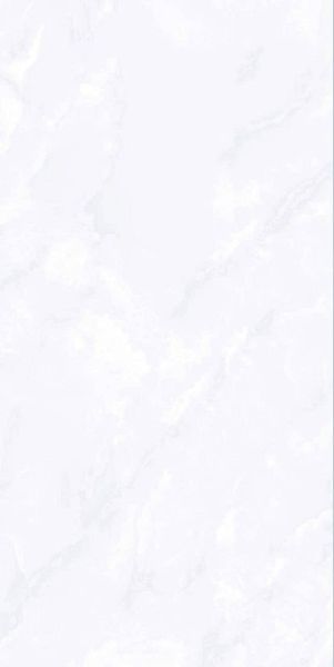 Gạch 60x120 Taicera GP12735J