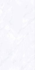 Gạch 60x120 Taicera GP12735J