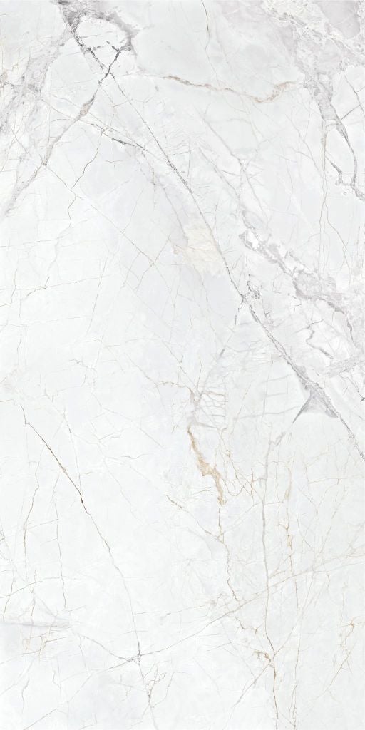 Gạch 60x120 Taicera GP12L10JW