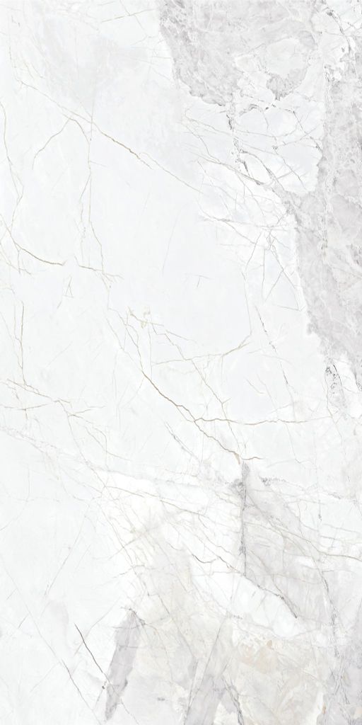 Gạch 60x120 Taicera GP12L10JW