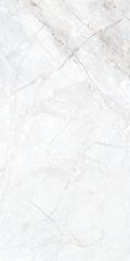 Gạch 60x120 Taicera GP12L10JW