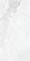 Gạch 60x120 Taicera GP12L10JW