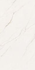 Gạch 60x120 Taicera GP12L52JW