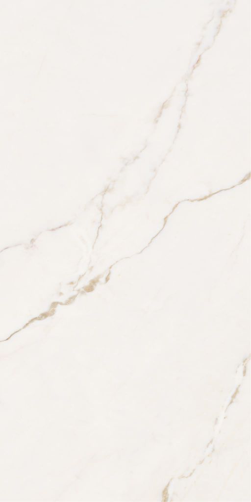 Gạch 60x120 Taicera GP12L52JW