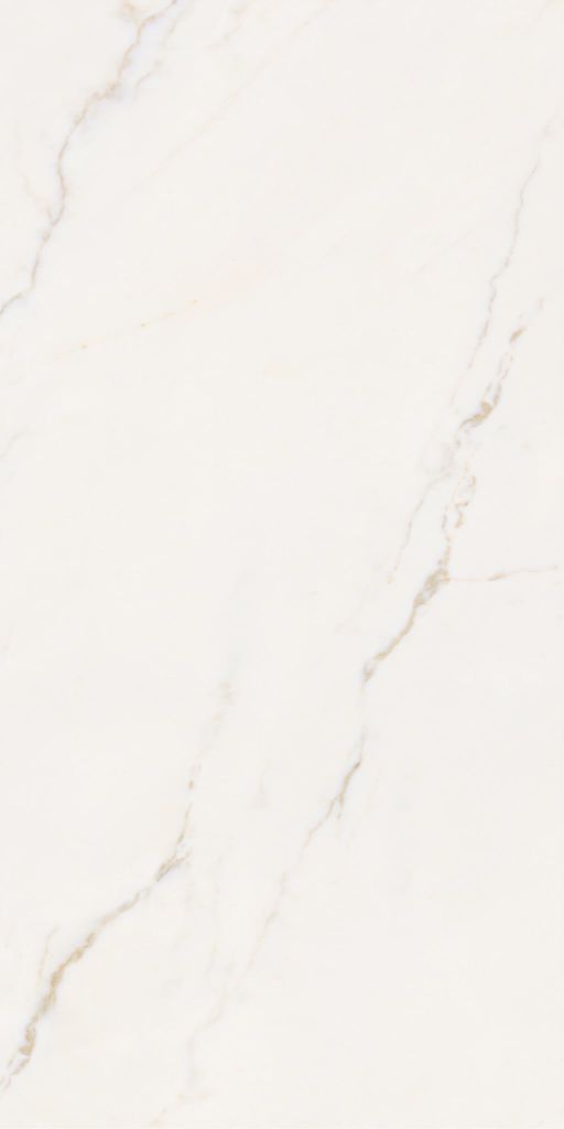 Gạch 60x120 Taicera GP12L52JW