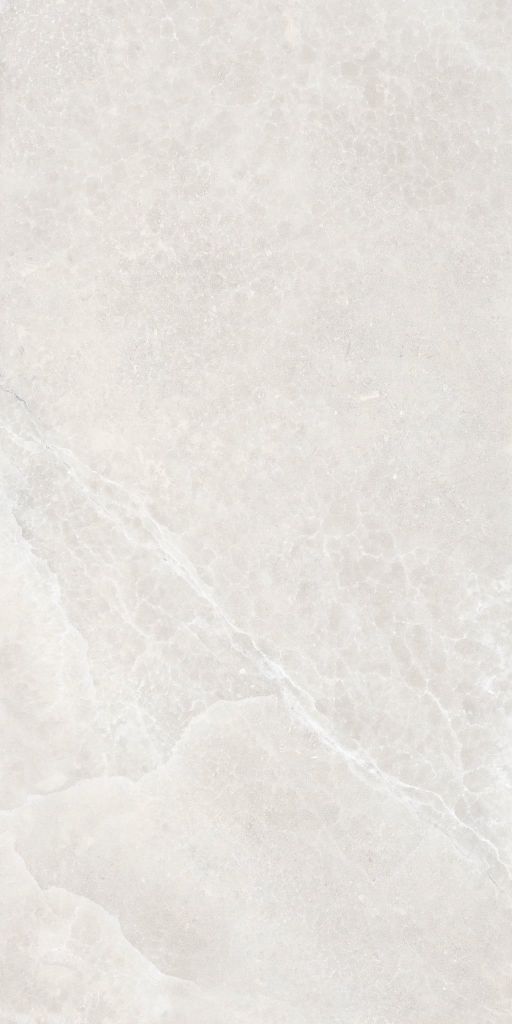Gạch 60x120 Taicera GP12L53JW