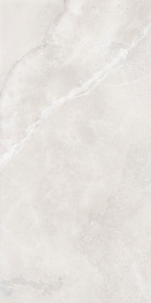Gạch 60x120 Taicera GP12L53JW
