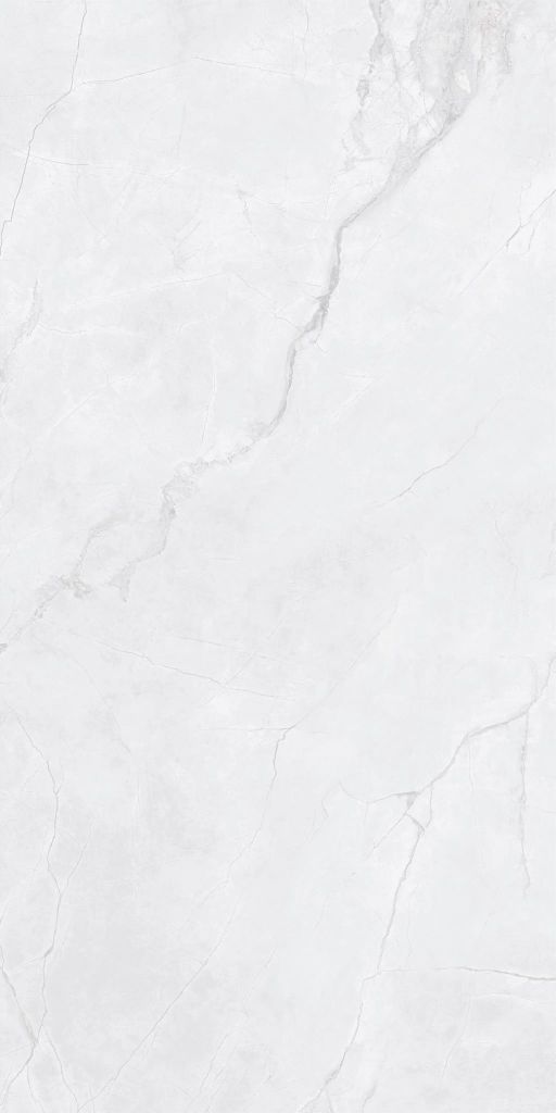 Gạch 60x120 Taicera GP12L55JW
