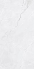 Gạch 60x120 Taicera GP12L55JW