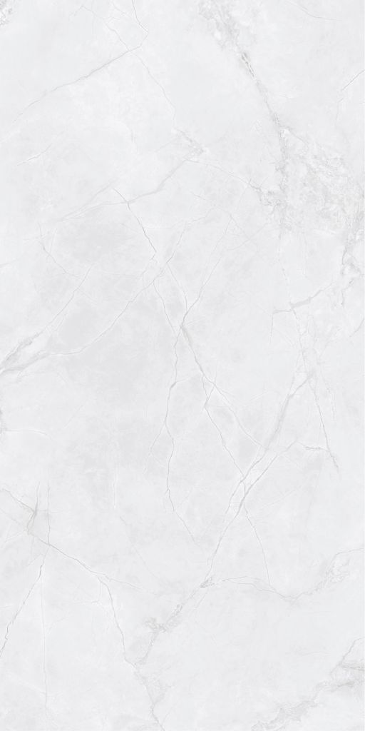 Gạch 60x120 Taicera GP12L55JW