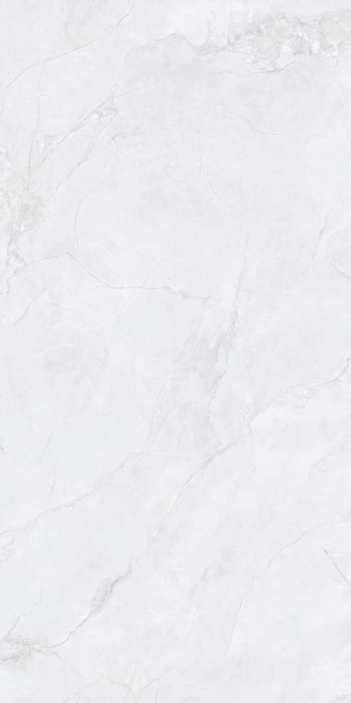 Gạch 60x120 Taicera GP12L55JW