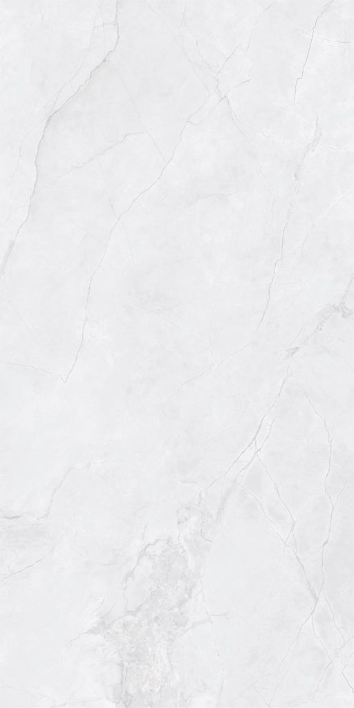 Gạch 60x120 Taicera GP12L55JW