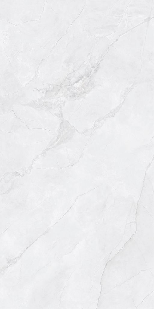 Gạch 60x120 Taicera GP12L55JW