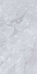 Gạch 60x120 Taicera GP12L58JW