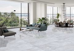 Gạch 60x120 Taicera GP12L58JW