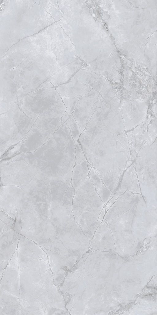Gạch 60x120 Taicera GP12L58JW