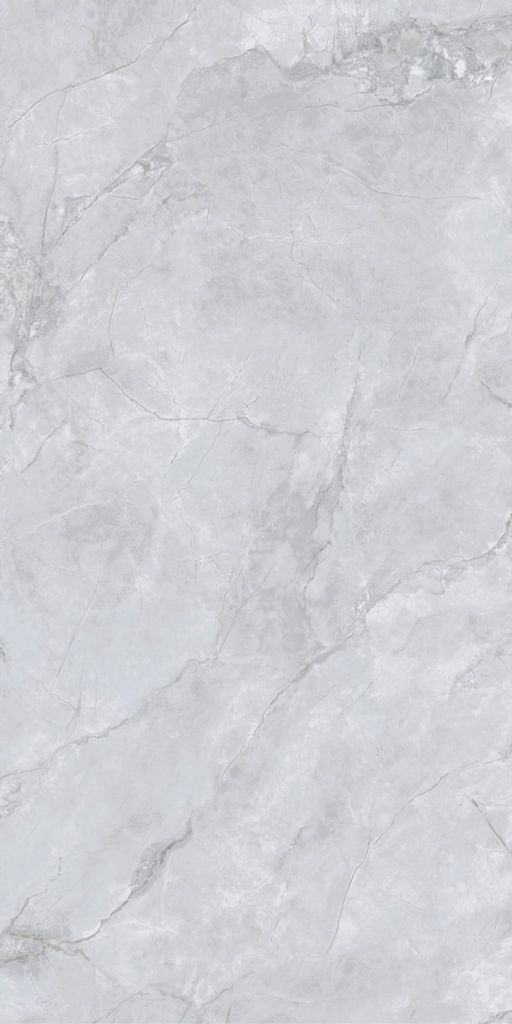 Gạch 60x120 Taicera GP12L58JW
