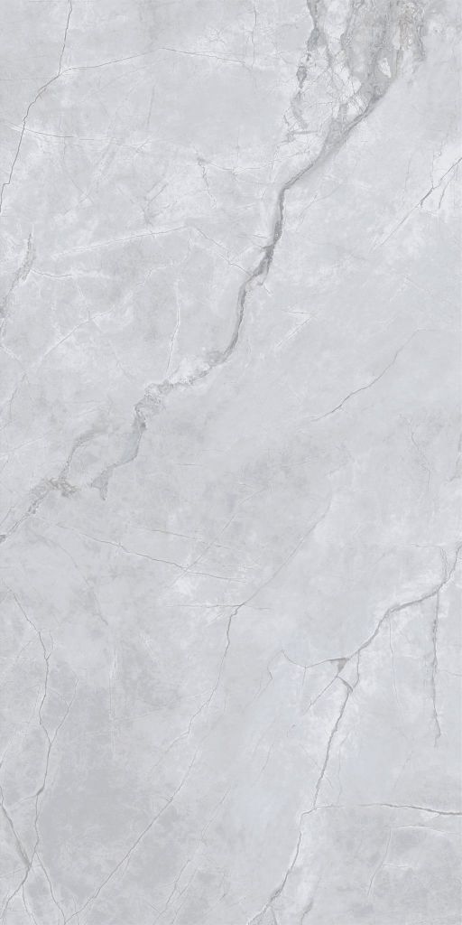 Gạch 60x120 Taicera GP12L58JW
