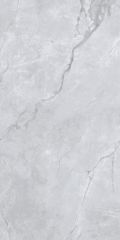Gạch 60x120 Taicera GP12L58JW